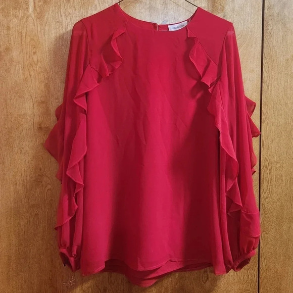 Calvin Klein Ruffled Long-Sleeve Top - Picture 4 of 12